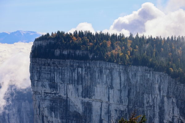 Un terrain idéal pour la course à pied