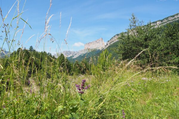 Un havre de paix pour les amoureux de la nature