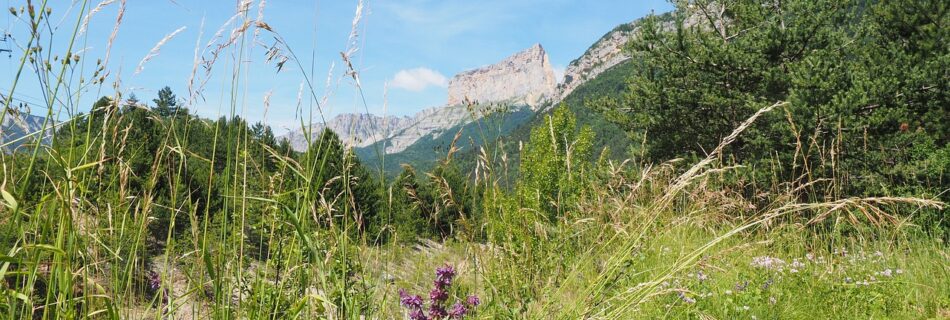 Un havre de paix pour les amoureux de la nature