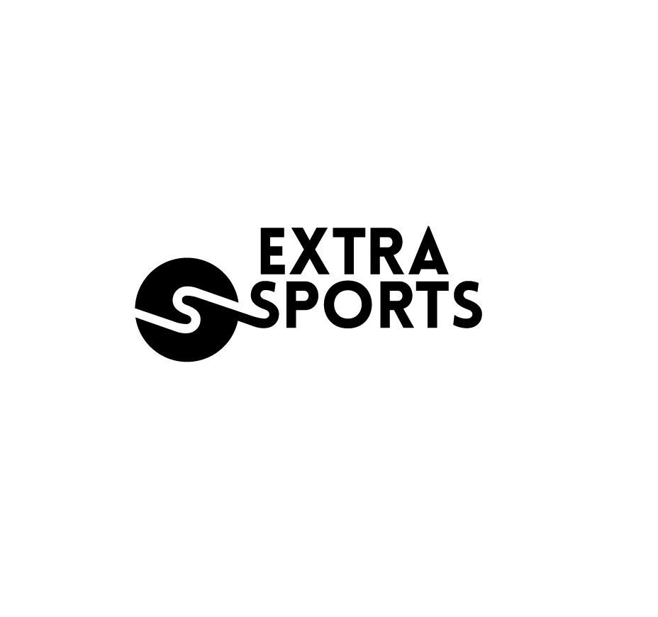 Organisateur